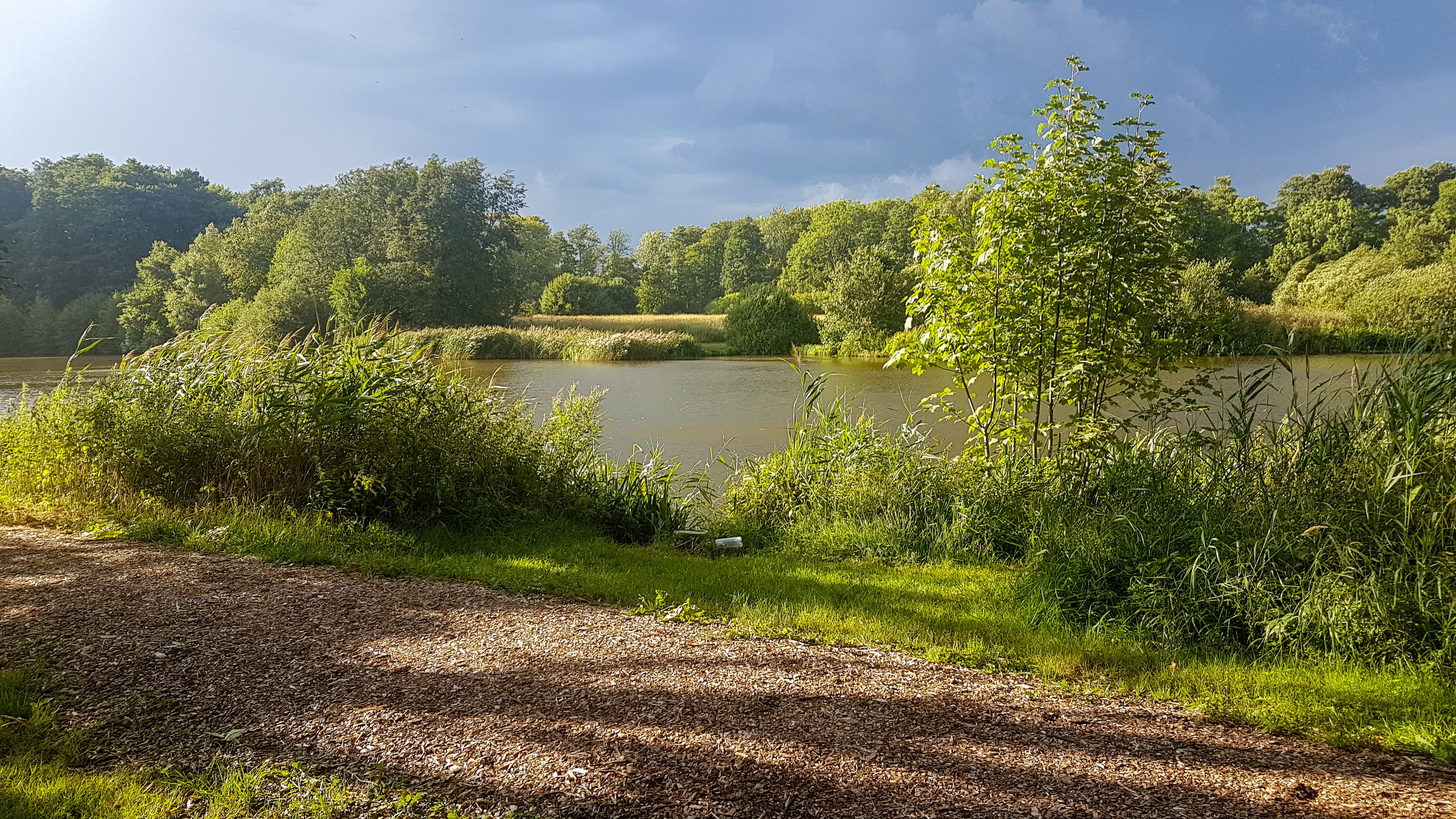Øster Møllesø