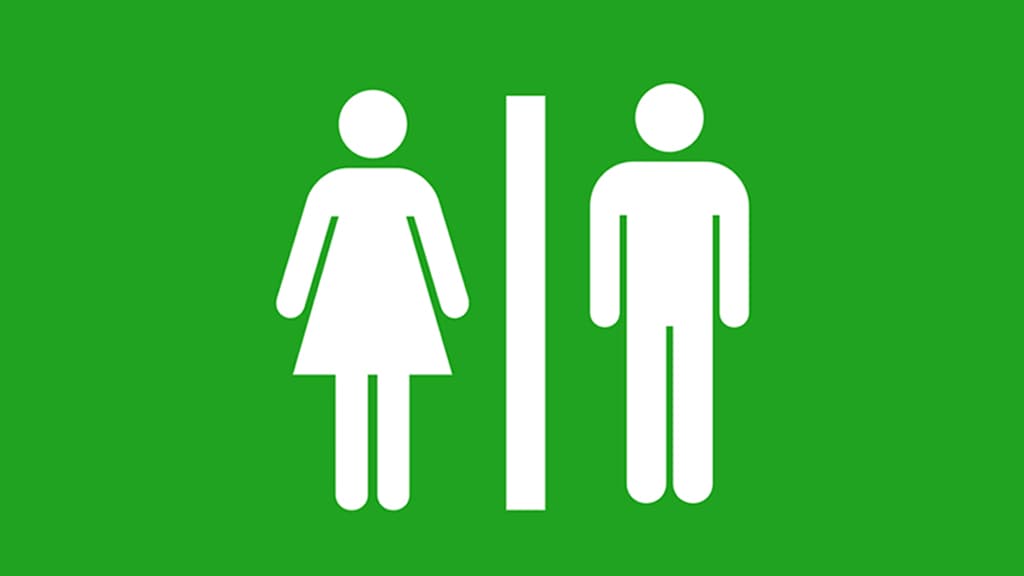 Unisex toilet, Vedsted Lake