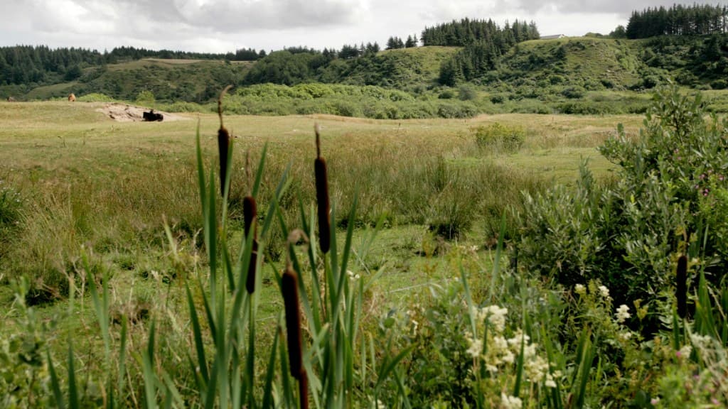 Naturcenter Fosdalen