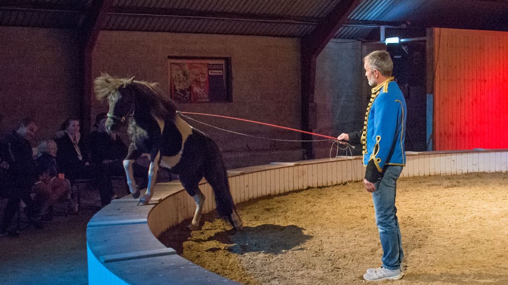 The Circus Farm