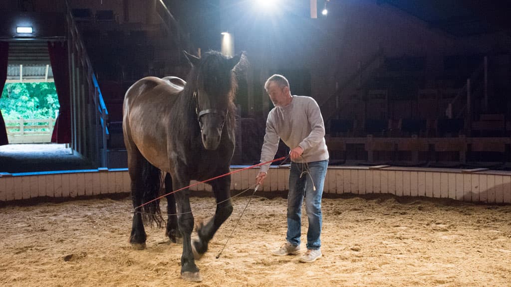 The Circus Farm