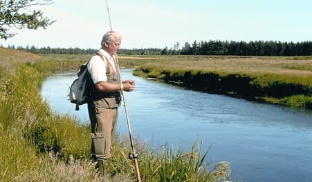 Angling Lerkenfeld stream