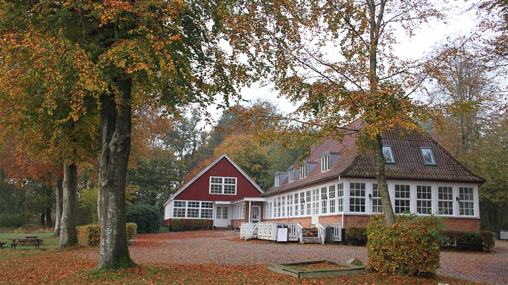 The café at Jels Voldsted