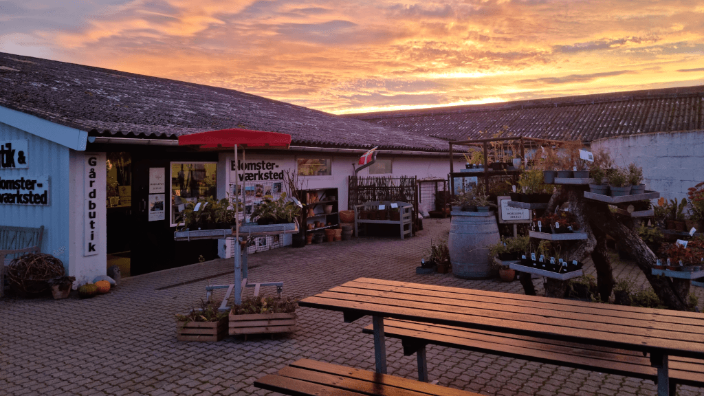 Sunrise over the farm shop at Tinnetgaard