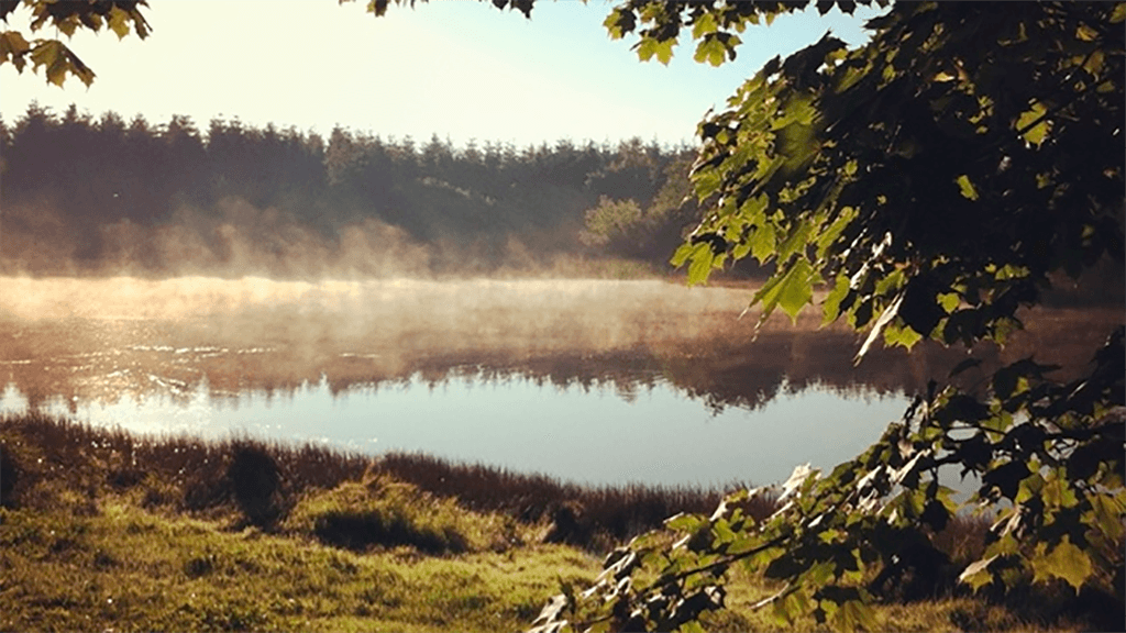 Holiday apartments at Tollundgaard