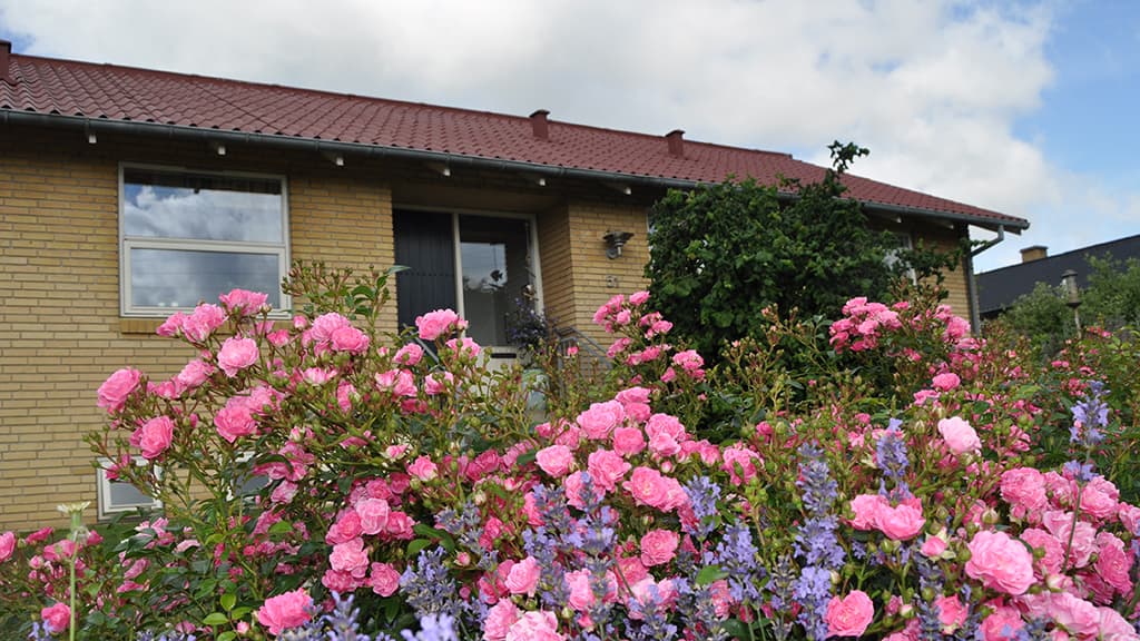 Sov godt i Silkeborg