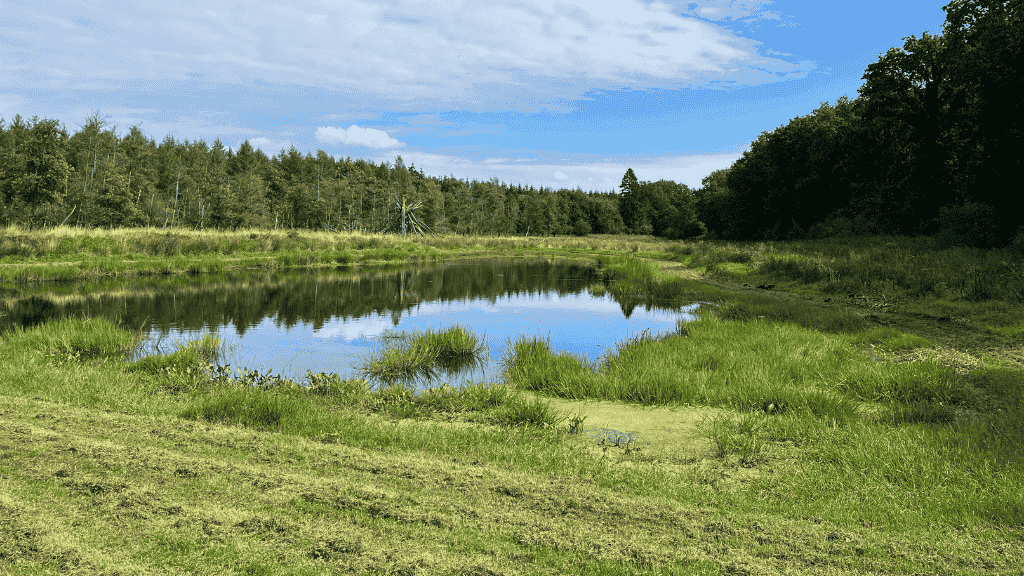 Lake at Kelstrup Plantation